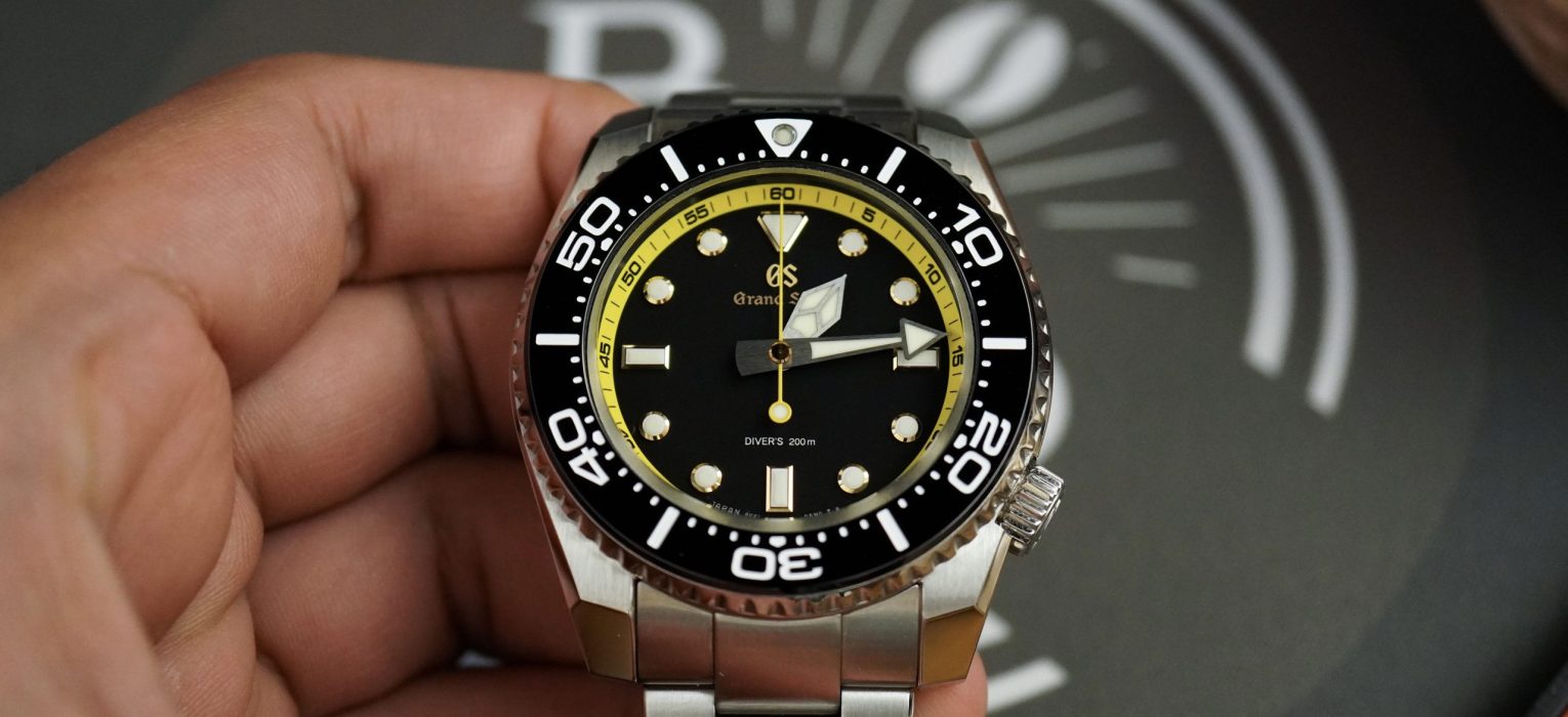 Seiko SBGX339 LE Diver – Beans & Bezels